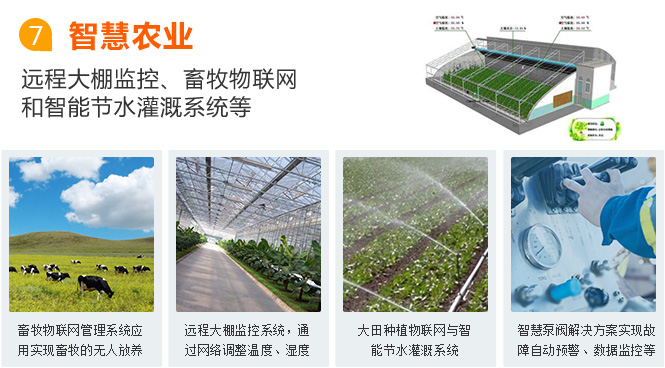 馬鞍山物聯網卡應用之智慧農業
